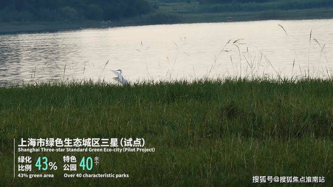 保利海上瑧悦官方网站 海上瑧悦售楼处发布-楼盘评测-房天下(图40)